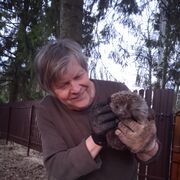 ���������� �����-���������, ���� ������� ����, 67 ���, ������������ ��� ������, ����� � ���������, ���������