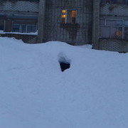  ,   Aleksei, 48 ,     , c 
