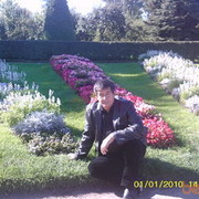 ,   Sultan, 66 ,   