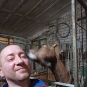 ���������� ������, ���� ������� ��������, 44 ����, ������������ ��� ������, ����� � ���������