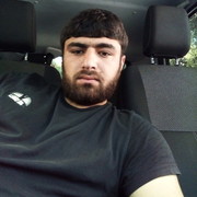  ,   Polo, 31 ,  