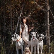 ���������� ����, ������� ���, 38