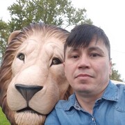 ���������� �������, ���� ������� ����, 40 ���, ������������ ��� ������, ����� � ���������