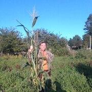 ���������� ���������, ���� ������� �������, 54 ����, ������������ ��� ������, ����� � ���������, ���������