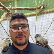  ,   , 41 ,   ,   , 