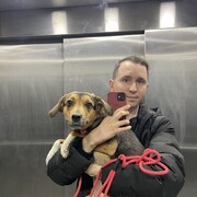 ���������� ������, ���� ������� �����, 33 ����, ������������ ��� ������, ����� � ���������, c�������� ���������