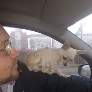 ,   , 55 ,     