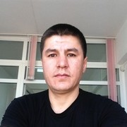  ,   Roma, 41 ,   ,   , c 