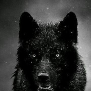 ���������� ����, ���� ������� � � � � � �, 40 ���, ������������ ��� ������, ����� � ���������, c�������� ���������