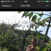  ,   , 38 ,   