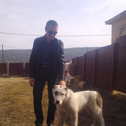 ���������� �������, ���� ������� �������, 50 ���, ������������ ��� ������, ����� � ���������, c�������� ���������