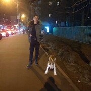 ���������� ���������, ���� ������� �������, 27 ���, ������������ ��� ������, ����� � ���������, c�������� ���������