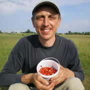  ,   , 56 ,   