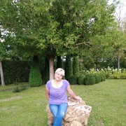  ,   , 49 ,   ,   , c 