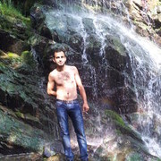 ���������� �������, ���� ������� D a v i t, 36 ���, ������������ ��� ������, ����� � ���������, c�������� ���������