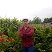 ���������� �����, ���� ������� ���������, 44 ����, ������������ ��� ������, ����� � ���������