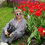  -,   , 52 ,  