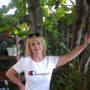 ���������� ��������, ���� ������� ������, 62 ����, ������������ ��� ������, ����� � ���������, c�������� ���������