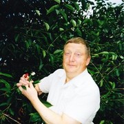 ���������� ���������, ���� ������� ���������, 70 ���, ������������ ��� ������, ����� � ���������, c�������� ���������