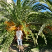  ,   , 54 ,   ,   , c 