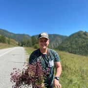 ���������� �����������, ���� ������� ��������, 31 ���, ������������ ��� ������, c�������� ���������