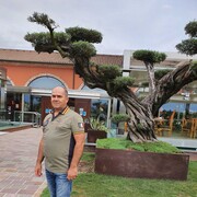  Abano Terme,   , 50 ,   ,   , c 