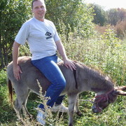 ���������� ������, ���� ������� ������, 62 ����, ������������ ��� ������, ����� � ���������, c�������� ���������