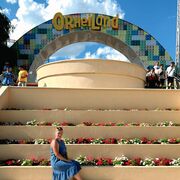 ���������� ������, ���� ������� Aliona, 49 ���, ������������ ��� ������, ����� � ���������