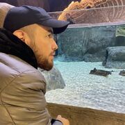 ���������� ������, ������� ���, 28