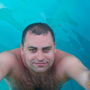 ���������� ������, ���� ������� �����, 43 ����, ������������ ��� ������, ����� � ���������, c�������� ���������