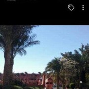 ���������� ����, ���� ������� Dmitry, 49 ���, ������������ ��� ����� � ���������, c�������� ���������