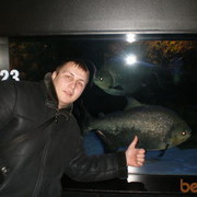  ,   Buliver, 37 ,   ,   , c , 