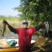  ,   Henry, 64 ,   ,   