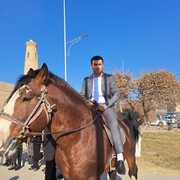 ���������� ������, ���� ������� BIGOV, 27 ���, ������������ ��� ������, ����� � ���������