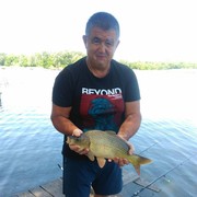  ,   Zafar, 55 ,   ,   , c 