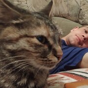 ���������� ������, ���� ������� ���� ������, 36 ���, ������������ ��� ������, ����� � ���������, c�������� ���������, ���������