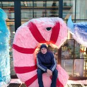 ���������� �����������, ���� ����� �����, 21 ���, ������������ ��� ������, ����� � ���������