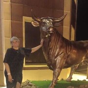 ���������� �������������, ���� ������� ����, 53 ����, ������������ ��� ������, ����� � ���������, c�������� ���������