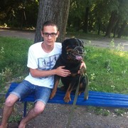 ���������� ������, ���� ������� ���, 34 ����, ������������ ��� ������, ����� � ���������, c�������� ���������