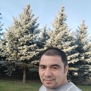 ���������� �����-���������, ���� ������� ��������, 40 ���, ������������ ��� ������, ����� � ���������, c�������� ���������