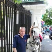  ,   ALEX, 56 ,     , c 