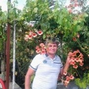 Serravalle delle Langhe,  , 56