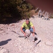  ,   , 47 ,   , 