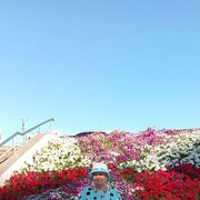  ,   , 71 ,   c , 