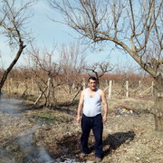 ���������� ������, ���� ������� ����, 55 ���, ������������ ��� ������, ����� � ���������, c�������� ���������