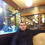 ���������� �������, ���� ������� MAX, 33 ����, ������������ ��� ������, ����� � ���������, c�������� ���������