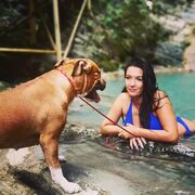 ���������� ���������, ���� ������� ��������, 33 ����, ������������ ��� c�������� ���������