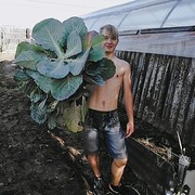 ���������� �������, ���� ������� ������, 26 ���, ������������ ��� ������, ����� � ���������, c�������� ���������, ���������