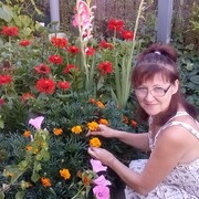  ,   , 55 ,     , c 