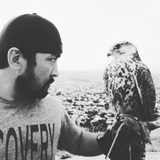 ���������� ��, ���� ������� ������, 39 ���, ������������ ��� ������, ����� � ���������, c�������� ���������